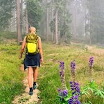 Auf wald- und blumenumsäumten Wegen zur Pichlerhütte