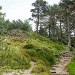 Abstieg zum St.-Jakobs-Kirchlein 