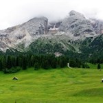 Die blumenreiche Plätzwiese mit der Hohen Gaisl im Hintergrund