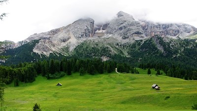 Die blumenreiche Plätzwiese mit der Hohen Gaisl im Hintergrund