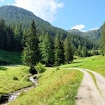 Auf dem bereits bekannten Weg zurück nach Weißenbach