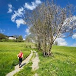 Anstieg nach Untertelfes