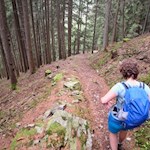 Der Rückweg von der Kreuzwiesenalm erfolgt auf dem Hinweg