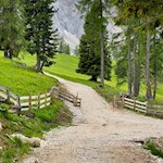 Wanderung Latemarwiesen