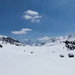 „Wie viel Schönheit empfängt das Herz durch das Auge!“ (Leonardo da Vinci)