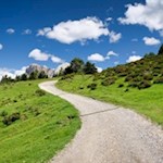 The hiking trail to the Mahlknechthütte is surrounded by numerous alpine rhododendron
