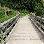 Nach der Überquerung der Brücke taucht man sogleich in einen schattigen Nadelwald ein