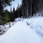 Der sanfte Anstieg zur Glatschalm