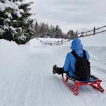 Abfahrt von der Pertinger Alm