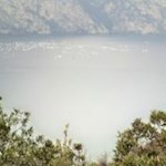 Am Nordostufer des Gardasees tummeln sich zahlreiche Segler und Surfer