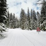Winterwanderung zur Steinzgeralm