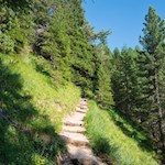 Durch den friedvollen Wald zur Haniger Schwaige