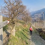 Der Birmehlweg führt durch aussichtsreiche Wiesen