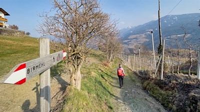 Der Birmehlweg führt durch aussichtsreiche Wiesen