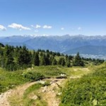 Der Abstieg vom Roen erfolgt auf dem Hinweg