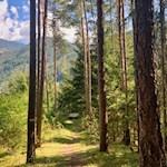 Längs des Rundwegs Bergl laden Bänke zur Rast ein