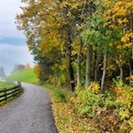 Der Lengsteiner Rundwanderweg ist gut ausgeschildert