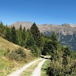 Hinter uns erheben sich die Telfer Weißen