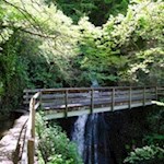 Am rauschenden Schnuggenbach 