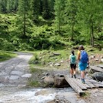 Eine Holzbrücke führt über den Zösenbach