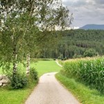 Durch Wiesen und Felder nach Issing