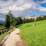 Der sanfte Wanderweg zum Häusler Sam