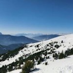 "In allen Wipfeln / spürest du / kaum einen Hauch" (Goethe)