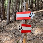 Der Anstieg auf den Scheibenberg ist gut markiert