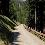 Der sanfte Wanderweg eignet sich bestens für Ausflüge mit der ganzen Familie