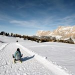 Rodelspaß in den Störeswiesen