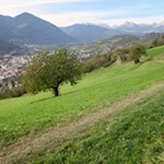 Unsere Wanderung führt durch verträumte Wiesen