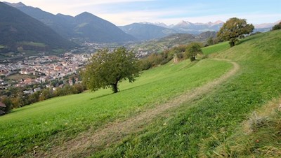Unsere Wanderung führt durch verträumte Wiesen