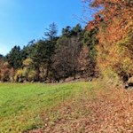 Auf herbstlich gefärbten Wegen nach Villanders