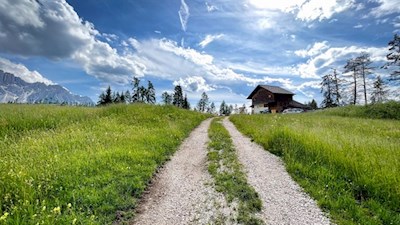 Inmitten idyllischer Wiesen liegt die Heinzenalm