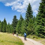 Auch Radfahrer sind auf dem Weg zur Auerleger Alm anzutreffen