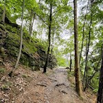 Im angenehmen Anstieg durch den Wald