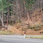 Vor Völser Aicha überquert der Weg die Straße