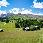 Auf dem Wiesenweg Nr. 6A zur Contrin Schwaige