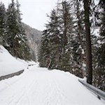 Auf dem Rückweg folgt man dem Waldweg um den Antholzer See