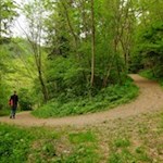 Durch den Laubwald zur Andreas-Hofer-Brücke