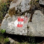 Die Wegnummer 65 führt zur Moarhofalm