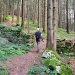 Durch schöne Waldstücke zur Schwarzbachalm