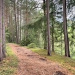 Wald- und Wiesenwanderung um Terenten