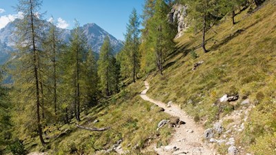 Attraverso i pittoreschi pendii di larici fino al rifugio Fonda Savio