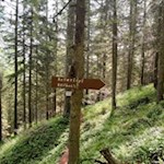 Die Wanderung auf den Kellerkopf ist gut ausgeschildert