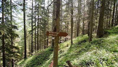 Die Wanderung auf den Kellerkopf ist gut ausgeschildert
