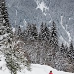 Manche fahren auch mit der Rodel zu Tale