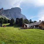 Die-Göma-Hütte-ist-in-sanfte-Almwiesen-gebettet