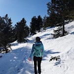 Sanft steigt der zunächst schmale Urlesteig an