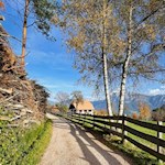 Herbstwanderung auf dem Ritten